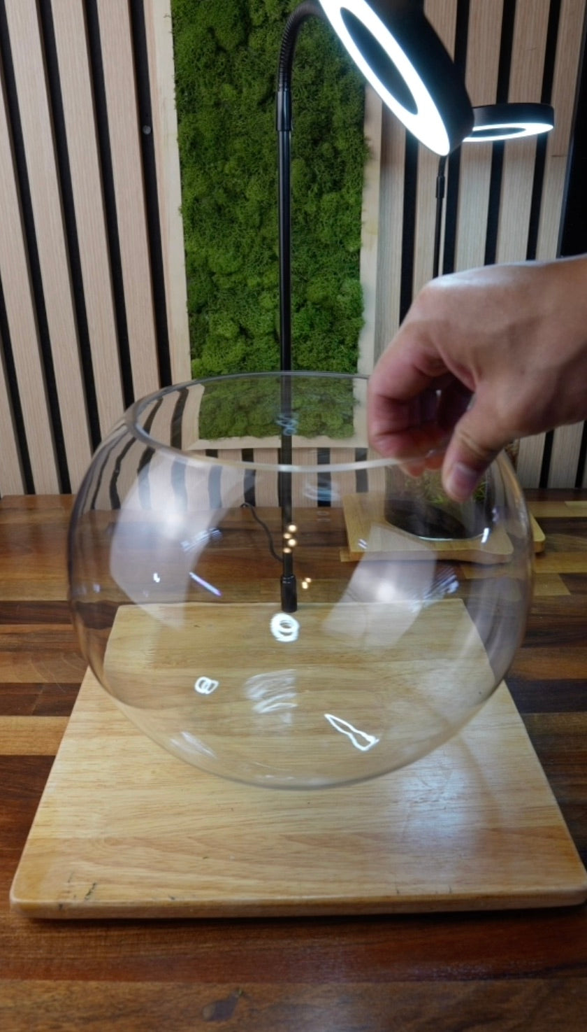 Desktop Aquarium