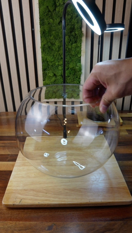Desktop Aquarium